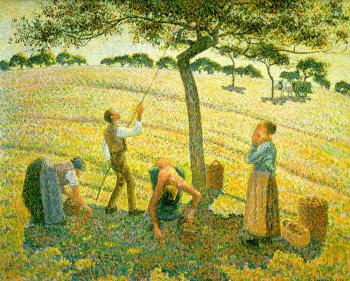 Camille Pissarro : Apple Picking at Eragny-sur-Epte